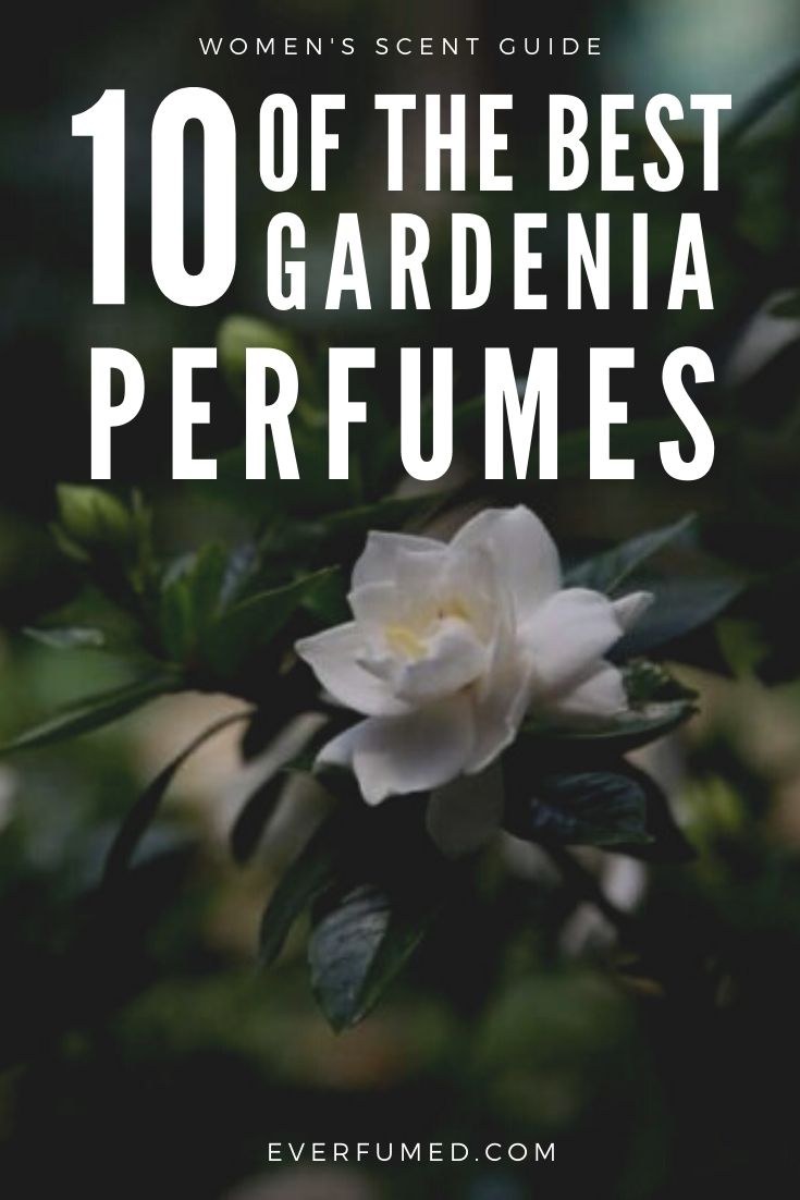 Beste Gardenia Parfums